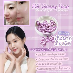 EGF Glassy Face เซลล์ต้นกำเนิดผิวหนังชนิดทาสูตรหน้าเงากระจก