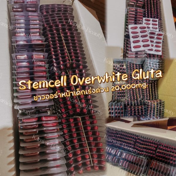 กลูต้าตัวแรงขาวหน้าเด็ก แบบอัดแผง Stemcell Overwhite Gluta 20,000mg. กลูต้าซอฟเจลปริมาณสูง - Image 7