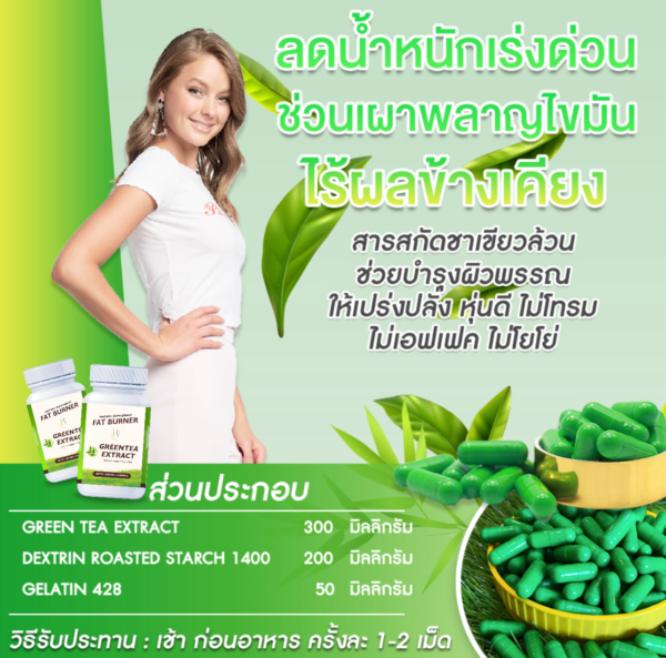 ชาเขียวแคปซูลเร่งลด ปรับสมดุลลำไส้ ช่วยเพิ่มประสิทธิภาพการลดน้ำหนัก ขับสารตกค้าง Greentea Extract - Image 3